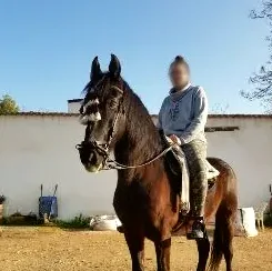 Nawal, 31 años